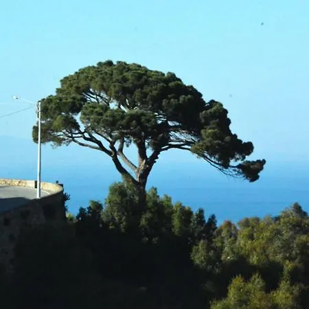 Palazzo Jannoni